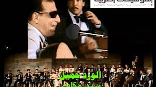 سيد مكاوي - الورد جميل