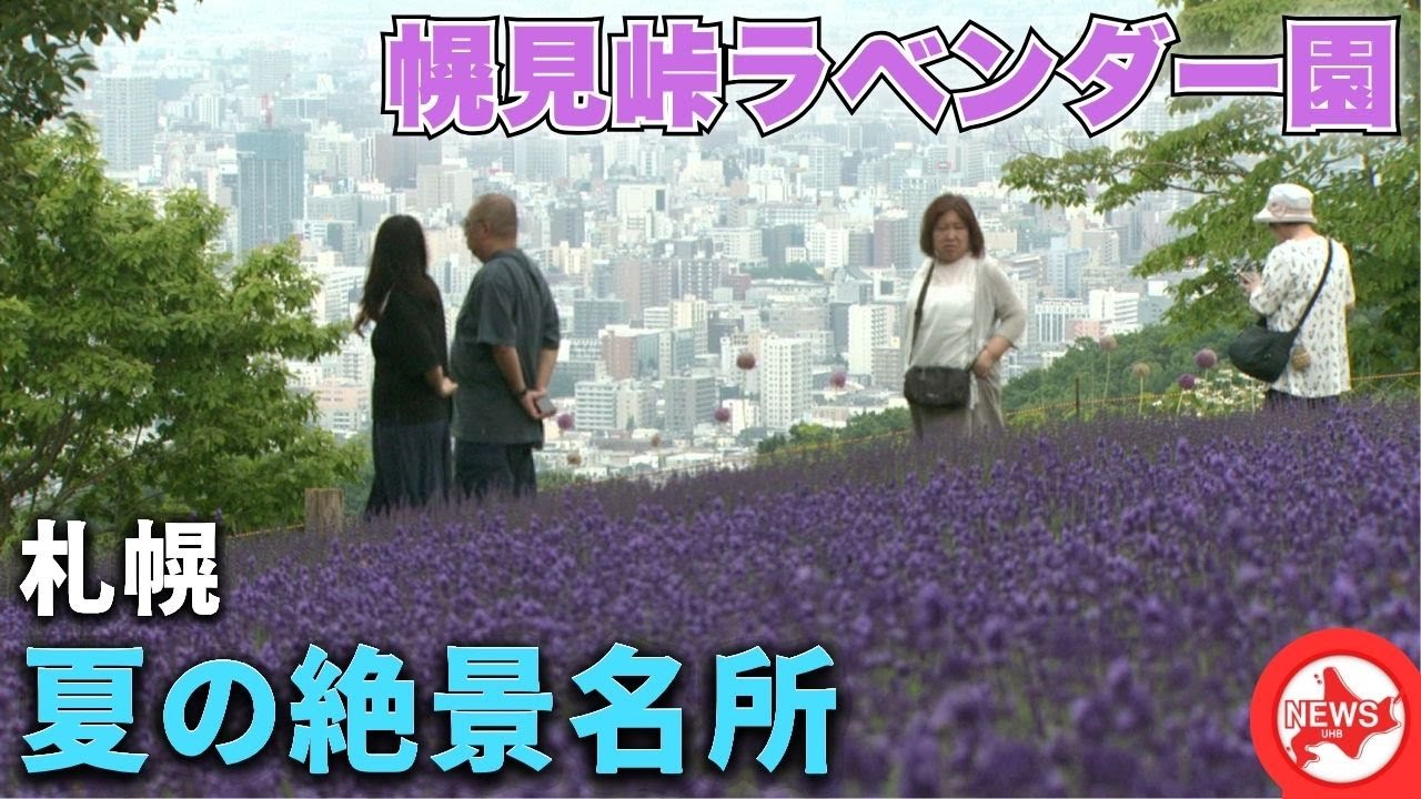 【ココだけの絶景】札幌の夏に出会える”天空のラベンダー園”…紫の絨毯の眼下に広がるのは札幌中心部の街並み_異常な暑さで開花早まる