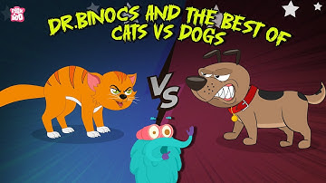 Dogs vs Cats | Which is Your Favorite Pet? | Learn about Cats and Dogs | The Dr. Binocs Show