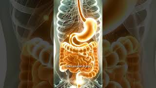 How to Use the NeoLife 3-Day Detox | Dr. Todd Miller’s Tips for Success