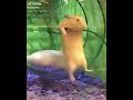 Join the cute crew: all things hamsters! #hamster