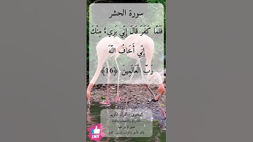 كمثل الشيطان إذ قال للإنسان اكفر فلما كفر قال إني بريء منك | سورة الحشر #دعاء_ورسالة