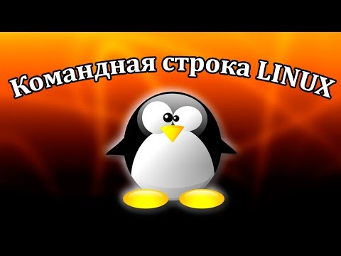 Команды терминала Linux. Урок 1. Основа работы с файлами