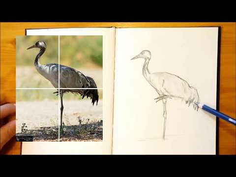 Video: Cómo Dibujar Una Grulla