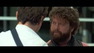 Due Date Funniest Scenes