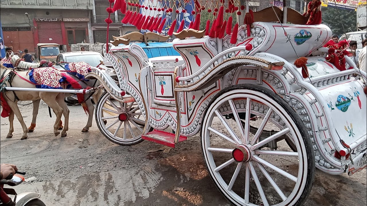 #pakistan#ptube#horsedsnce#wedding PAKISTANI CULTURE DESI WEDDING HORSE DANCE #P TUBE