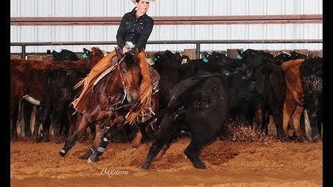 ShezaPrettyHighCat - Pretty Girl  ***For info, price, etc., go to our website*** Valley View Ranch