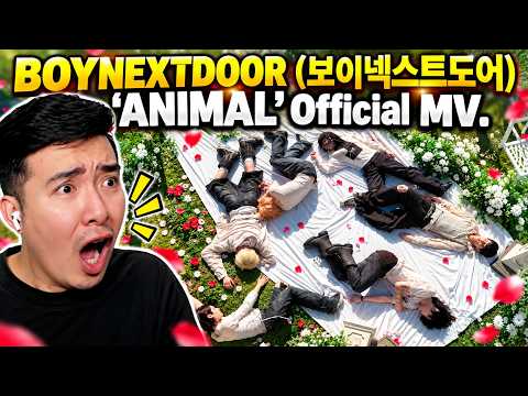 BOYNEXTDOOR (보이넥스트도어) 'ANIMAL' Official MV | REACTION