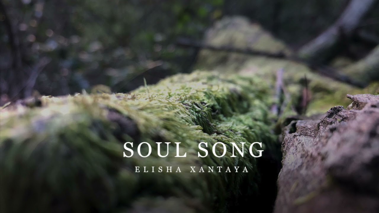 ‘Soul Song’ Sonic Meditation — ‘Remember your Wild Song’
