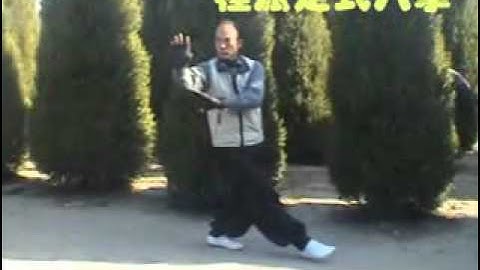 程式八卦掌Cheng Style BaGuaZhang