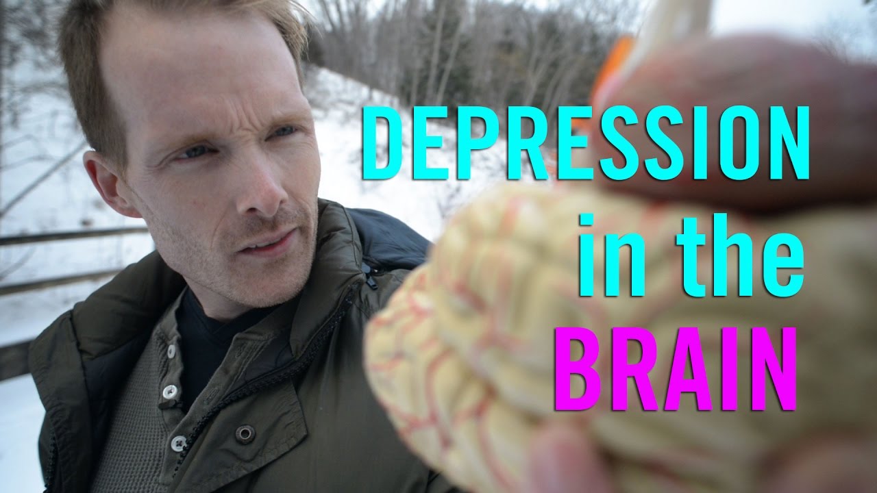 Depression in the Brain: the Biology of Depression - YouTube