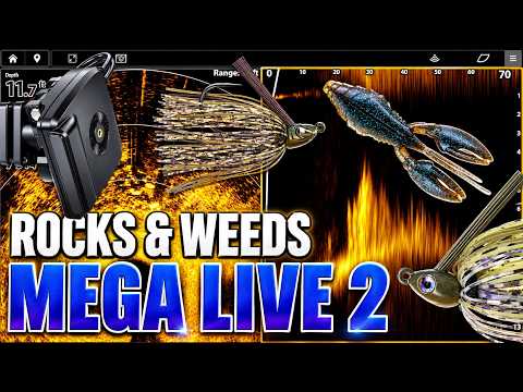 Mega Live 2 Spots Rocks & Weeds - Pinpoint Efficiency is Crucial During a Tough Bite!
