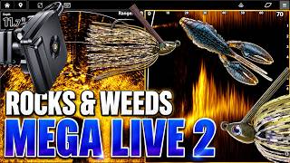 Mega Live 2 Spots Rocks & Weeds - Pinpoint Efficiency is Crucial During a Tough Bite!