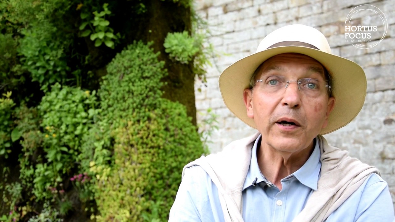 Découverte : les murs végétaux de Patrick Blanc à Doullens