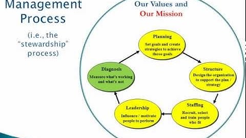 Organizational Structure, Part 1