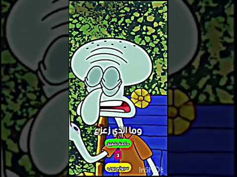 حكمه شفيق سبونج بوب