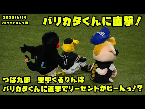 つば九郎　空中くるりんぱがバリカタくんに直撃でリーゼントがピーんっ！？　2023/6/14 vsソフトバンク