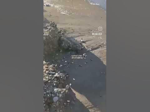 Размыта дорога в Октябрьский. Камчатка. Экосистема.Заповедный край ...