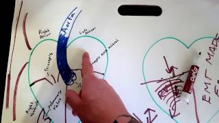 EMT Cardiac Valves / EMT MADE EASY