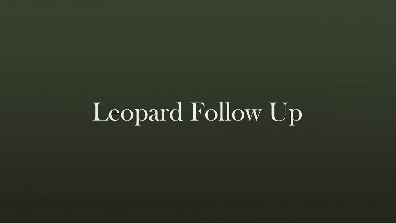 HEYM Field Notes - Leopard Follow up