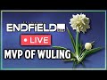 Jincao Turns EVERYONE Into A Healer At Endgame! | Final Endfield Before CZN S2