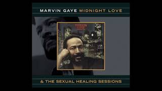 Sexual Healing - Marvin Gaye