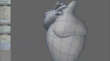 Lightwave 3D | Modeling a Human Heart - p4
