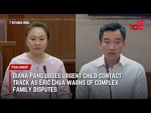 Diana Pang urges urgent child-contact track as Eric Chua warns of complex family disputes
