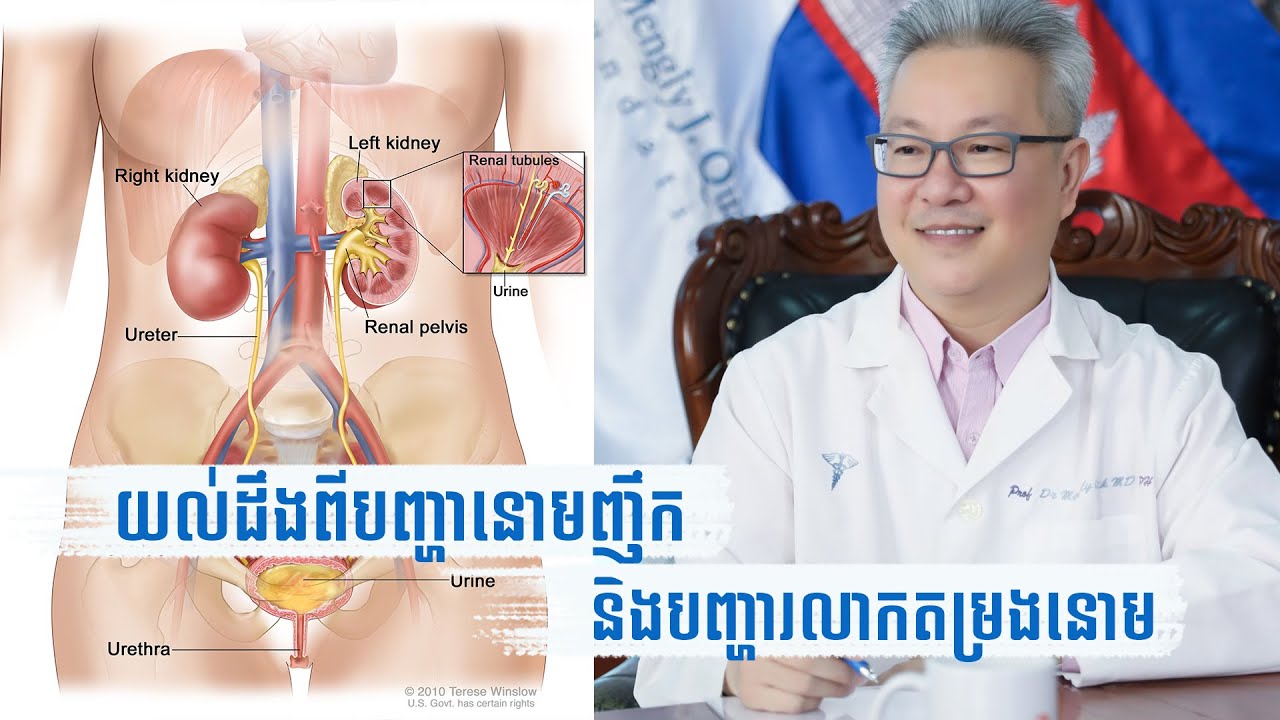 មូលហេតុ​ដែល​បណ្តាលឱ្យ​នោមញឹក​និង​រលាកតម្រង​នោម​