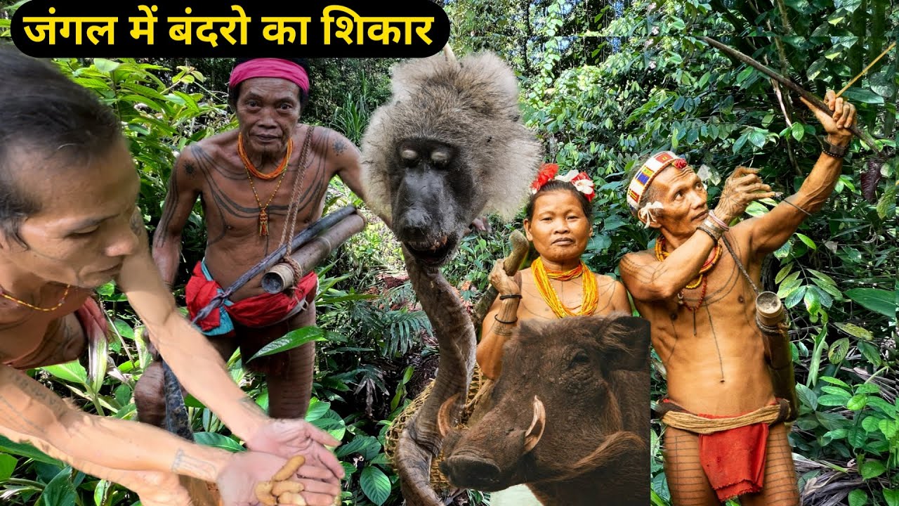 BABOONS Hunting with the MENTAWAI PEOPLE बंदरों का शिकार जंगलो में