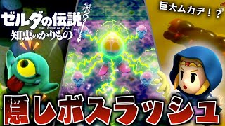 So many hidden bosses!? Zelda fans rejoice as guest stars from