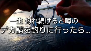 【釣り🎣】大サバを釣りに行った🐟