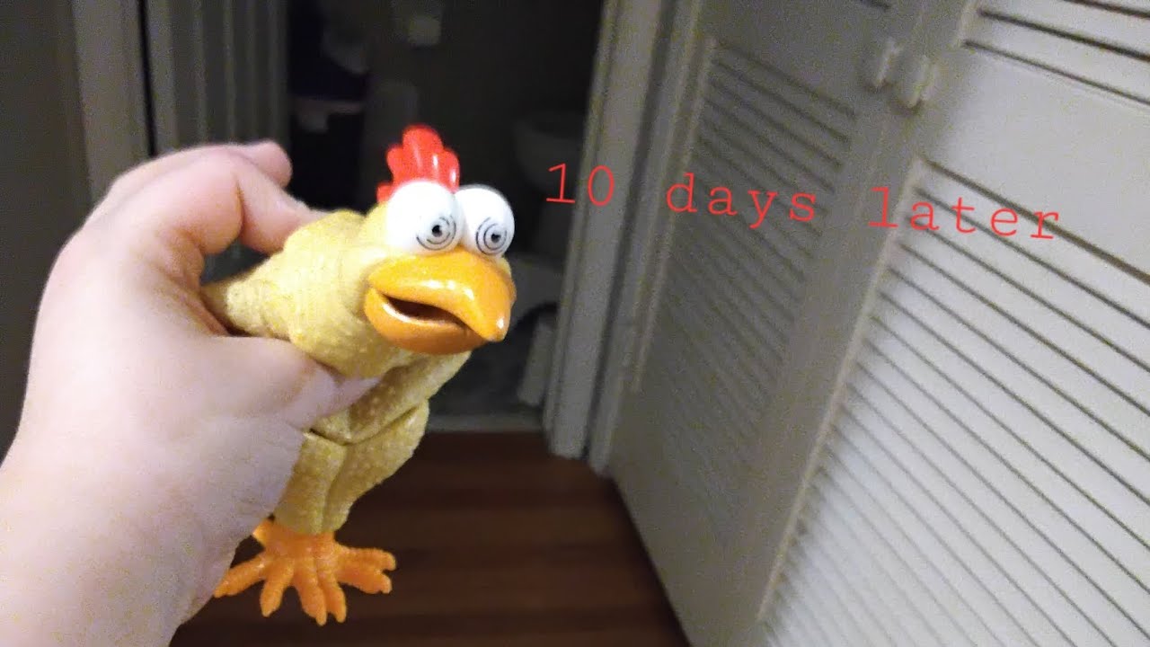 shelter of gengen 2 full gameplay