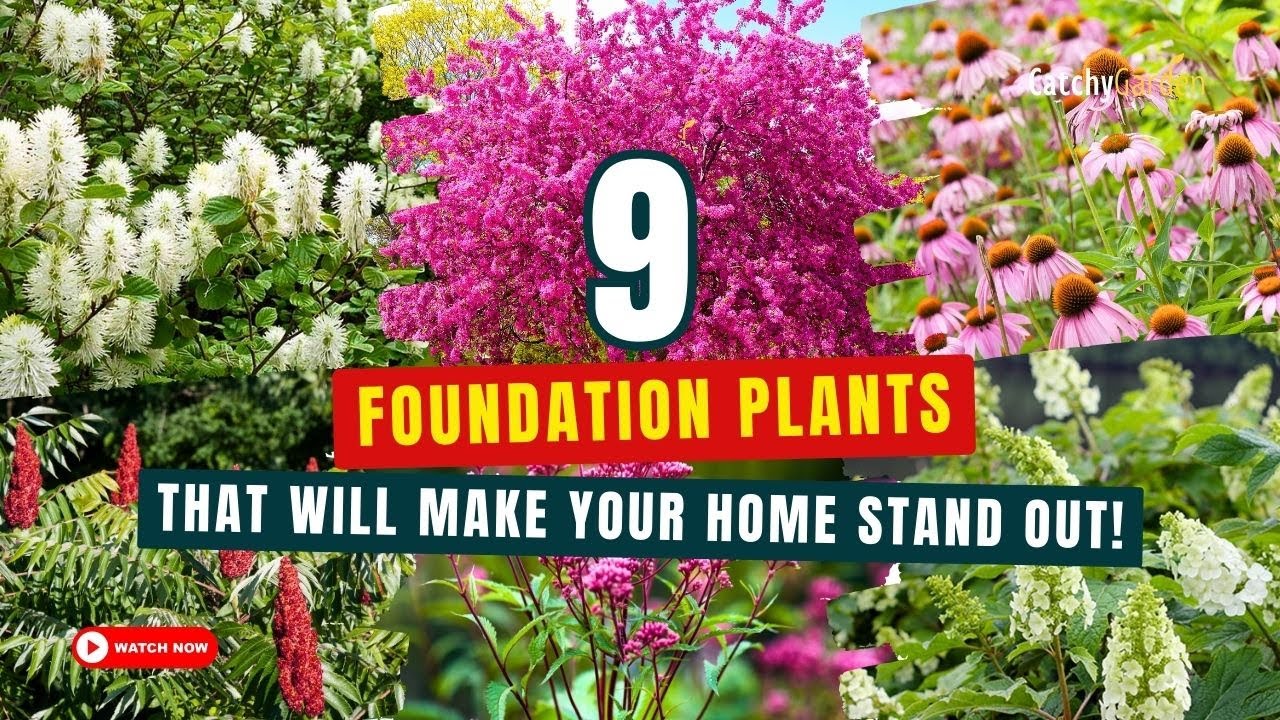 🌼 8 NATIVE PLANTS That’ll Keep Your Garden BEAUTIFUL ALL YEAR ROUND! 🏡🌿