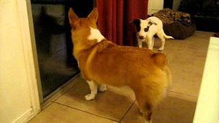 October 2011 videos 083.avi