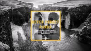 AUSTIN JAMES - Never Forget Panda (Zara Larsson & MNEK [Giuliano Rascan Remix] X Desiigner)