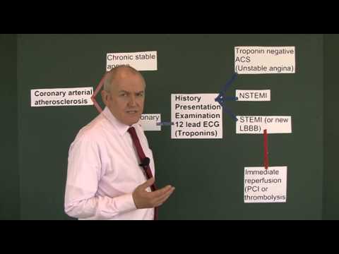 Heart Disease, introduction