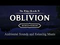 Lake Rumare 🌅 Imperial City View | Day & Night Cycle Ambience | Oblivion Remastered