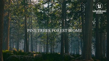 Pine Trees Forest Biome - Unreal Engine 5.4 - PCG With Nanite Pine Trees & Lumen