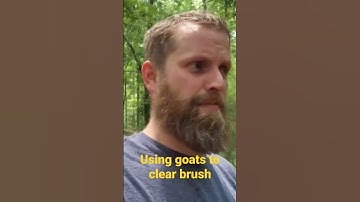 using goats to clear brush