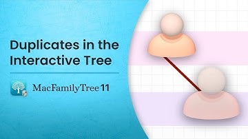Duplicates in the Interactive Tree (EN)