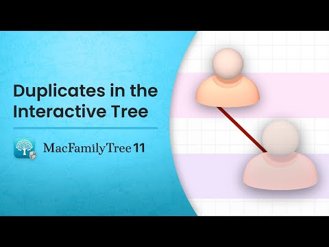 Duplicates in the Interactive Tree (EN)