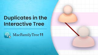 Duplicates In The Interactive Tree En