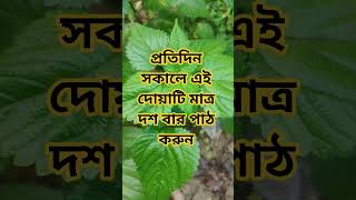 প্রতিদিন সকালে দশ বার পাঠ করুন #দোয়া #দোয়া_ও_আমল #dua #islamic #mizanur_rahman_azhari #shorts