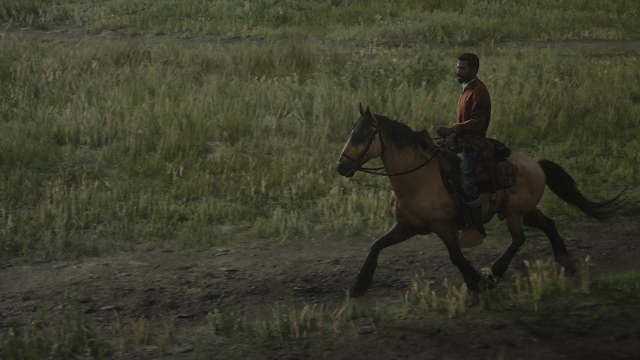 Red Dead Online Trail Ride Fletcher Saddle
