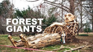 Forest Trolls - Kentucky 2019.