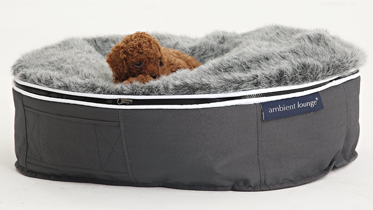 Pet Lounge Dog Bed Luxury Pet Bed YouTube