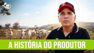 R$ 25.000 por Hectare: Como Lucrar Integrando Gado e Eucalipto
