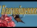 Зі святом святого Благовіщення!