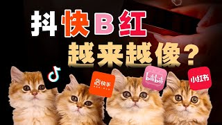 土味、搬运视频、月活7亿？从论坛贴吧到抖音小红书，中国互联网社区演变史 - IC实验室出品